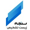 زیست تشخیص سنجه