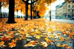 پارک فناوری پردیس