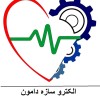 الکترو سازه دامون